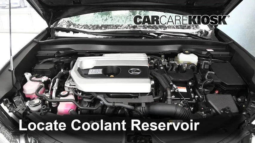 2021 Lexus UX250h 2.0L 4 Cyl. Coolant (Antifreeze) Add Coolant